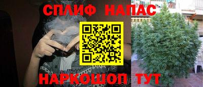 ПСИЛОЦИБИНОВЫЕ ГРИБЫ Жуковский